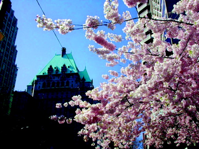 Hotel Vancouver, across the street from Hotel Georgia